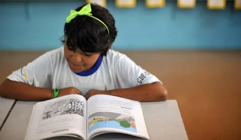 Editoras dizem que livros pedagógicos devem ser encomendados até agosto