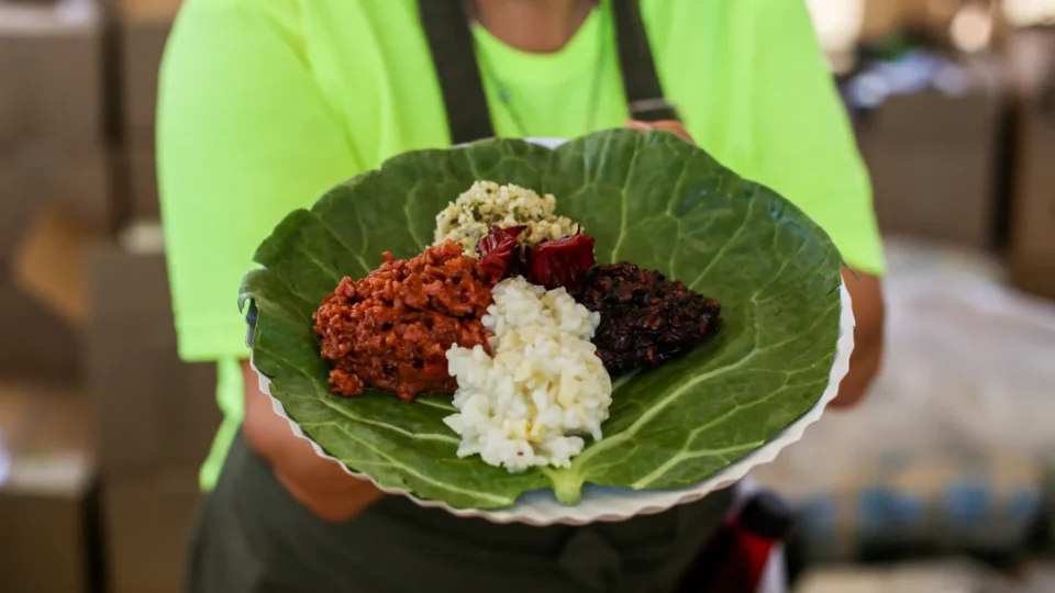 Cooperativa que comercializa arroz orgânico do MST busca investimento de R$ 2 milhões