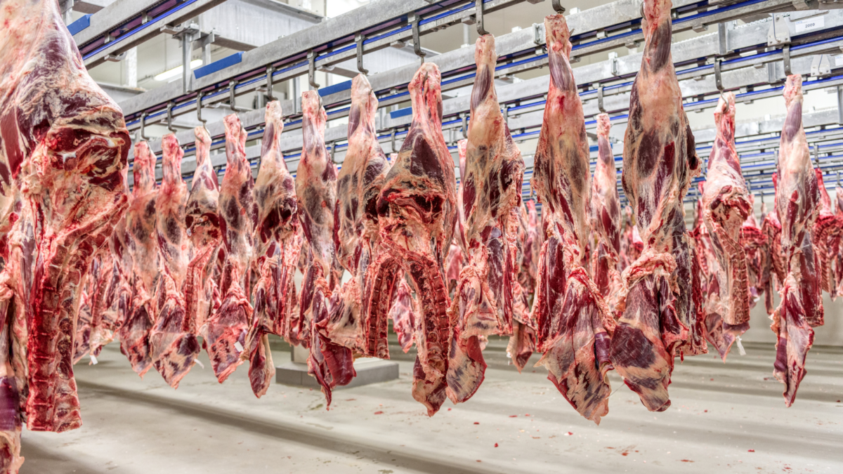 Frigoríficos de MS pausam produção de carne destinada aos EUA após tarifa de Trump 