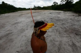 Conflito entre os Ka’apor leva Justiça a suspender projeto de carbono no Maranhão
