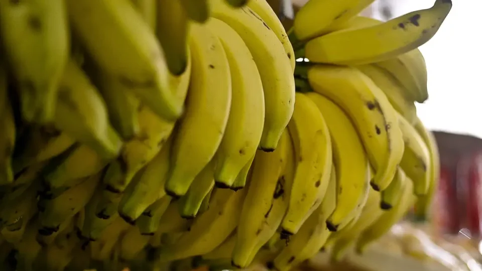 Banana: veja 6 benefícios à saúde e o que exige atenção