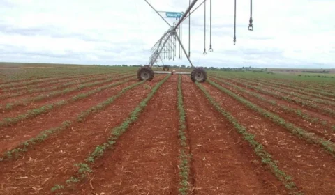 Justiça condena fazendeiro pela morte de trabalhador exposto a agrotóxicos