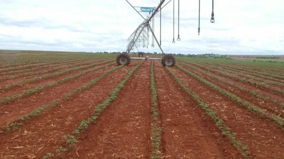 Justiça condena fazendeiro pela morte de trabalhador exposto a agrotóxicos
