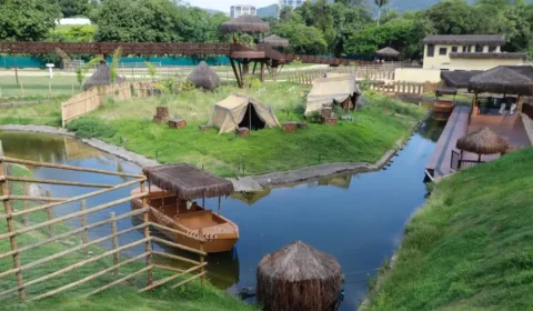 Ministério confirma gripe aviária em aves mortas no Bioparque do Rio