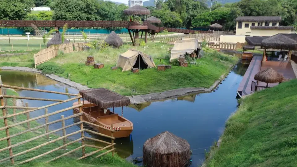 Ministério confirma gripe aviária em aves mortas no Bioparque do Rio