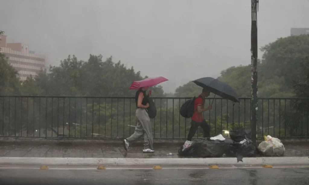 Nordeste entra em alerta para chuvas intensas; confira a previsão do tempo