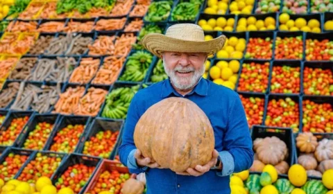 Ajuda ao agronegócio: Governo Lula prepara MP de R$ 12 bi para refinanciar dívidas