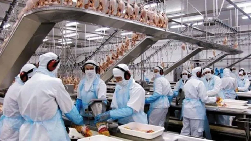 Frigoríficos do MS pausam produção de carne aos EUA após tarifa de Trump