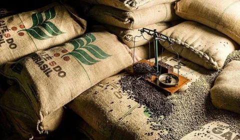 Tarifaço de Trump deve aliviar preço do café no Brasil, que dobrou desde 2024