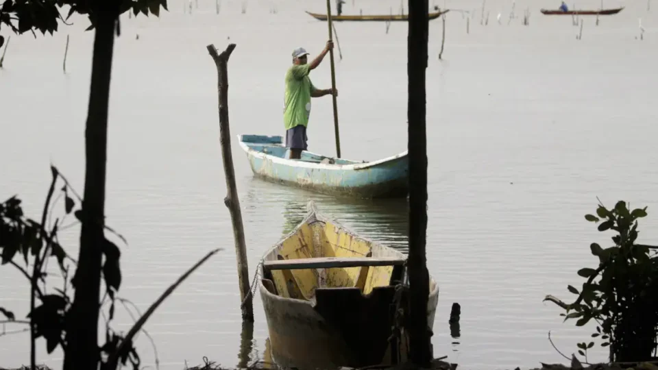 Mobilização de pescadores protesta contra PL da Devastação: ‘Sem território não tem vida’