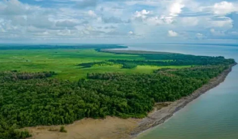 Justiça nega pedido do MPF e libera simulado da Petrobras na Foz do Amazonas