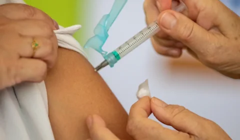 Vacina desenvolvida na USP protege contra Zika e danos cerebrais e testiculares