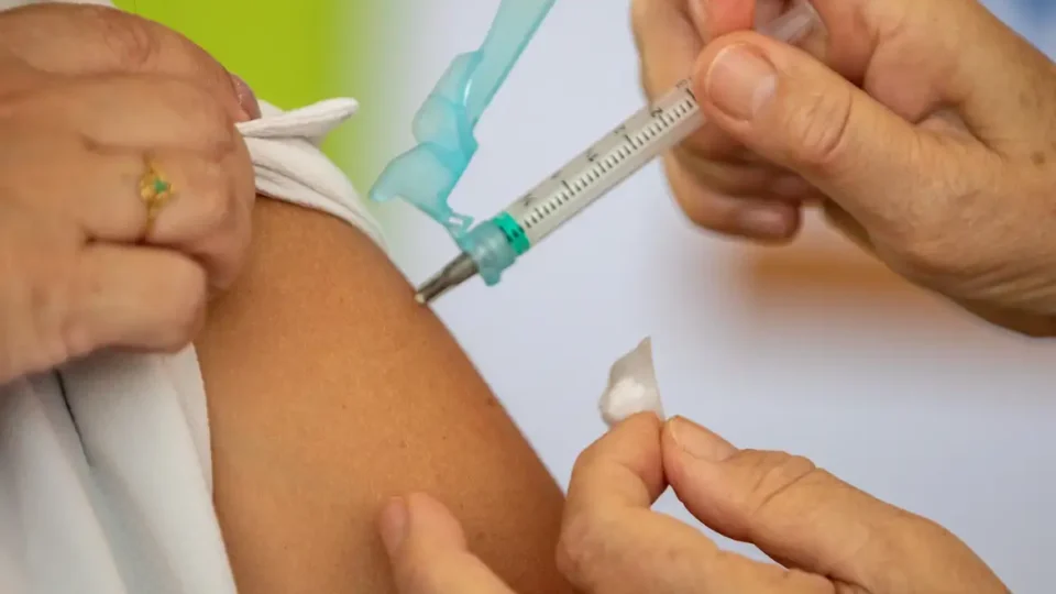 Vacina desenvolvida na USP protege contra Zika e danos cerebrais e testiculares
