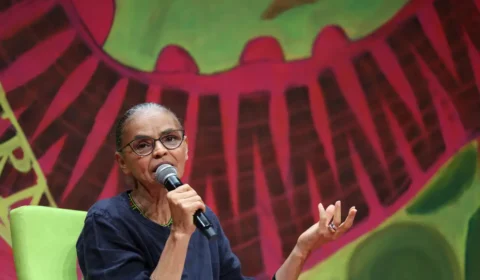 Marina Silva diz que vai propor a Lula vetos ao PL do licenciamento ambiental até o dia 8