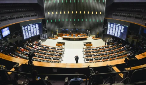 Jabutis na isenção do IR: emendas tentam incluir benefícios estranhos