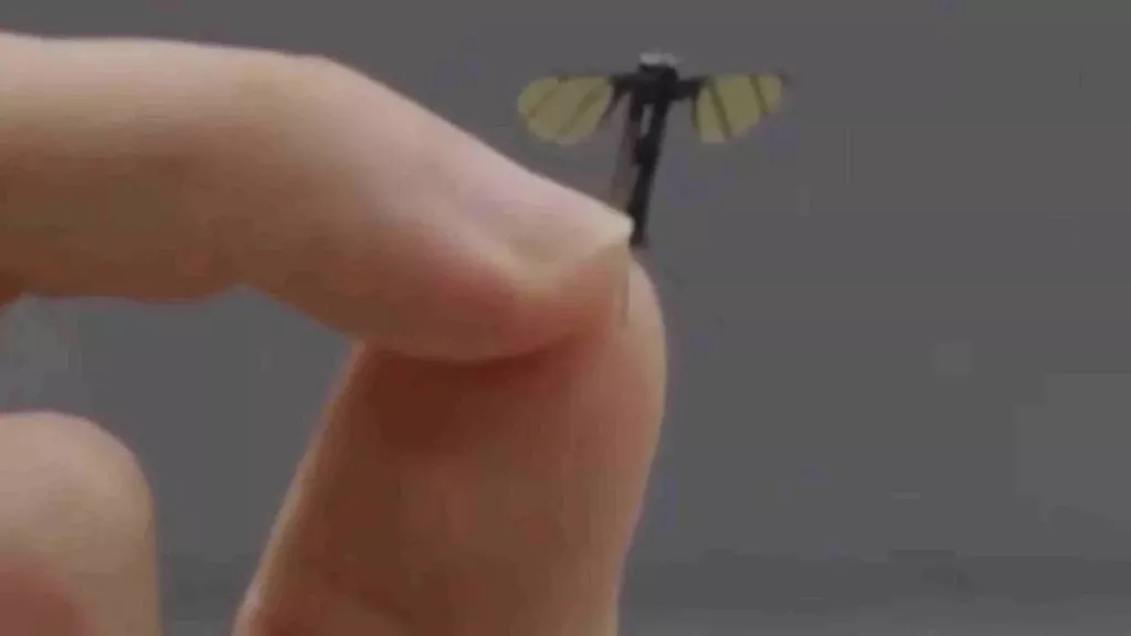 drone