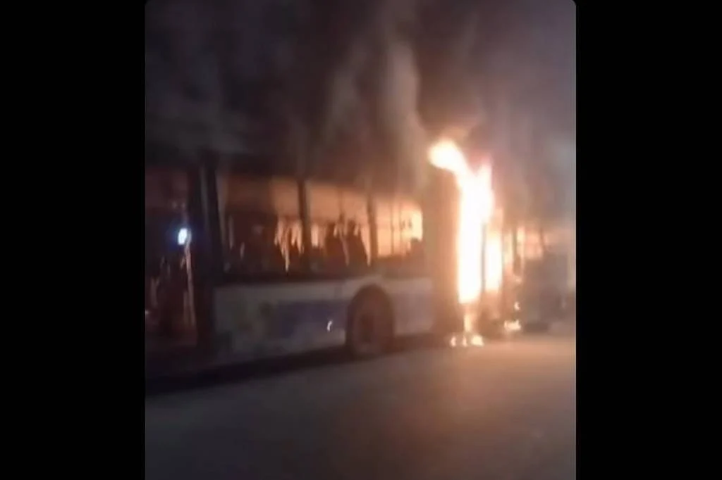 Ônibus