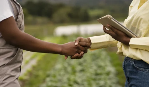 Cooperação Sul-Sul agricultura: entre soberania alimentar e internacionalização do agronegócio