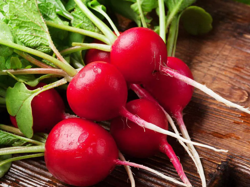 vegetal