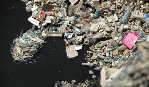 Governo recebeu indústria do plástico 10 vezes mais que ambientalistas em 6 anos