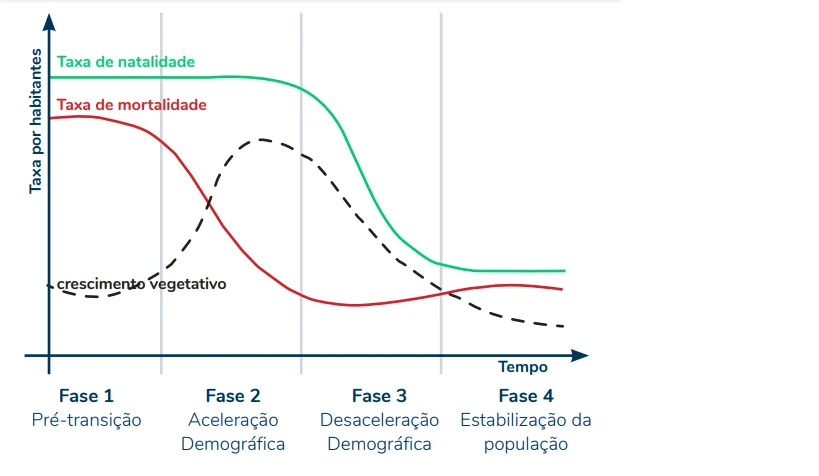 transicao demografica Gráfico de taxa de natalidade, mortalidade e crescimento vegetativo.