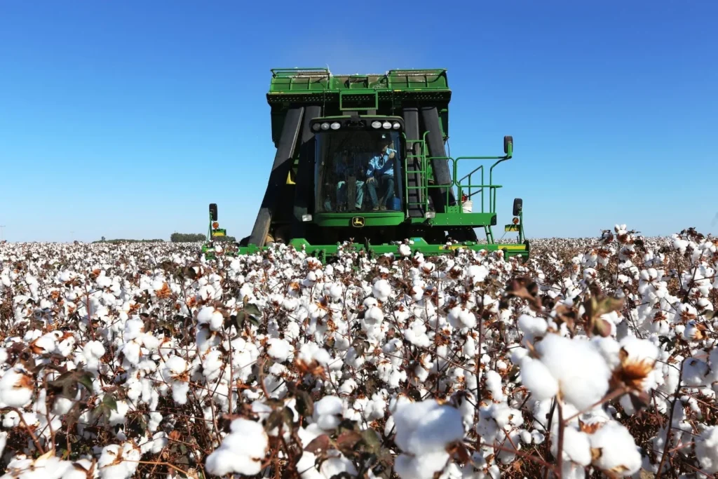 Em oito anos, o projeto +Algodão capacitou quase 10 mil agricultores familiares e mais de 2 mil técnicos em cinco países da América Latina. A nova fase, lançada em 2021, amplia ações de sustentabilidade e fortalecimento das cadeias produtivas regionais. Foto:Carlos Rudiney/Abrapa