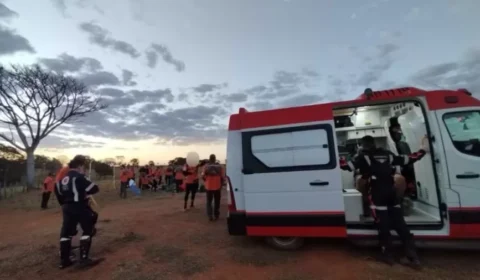 Grupo de Legendários é atacado por abelhas durante evento em GO; 10 vão para o hospital