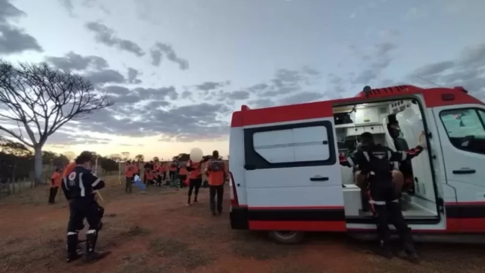Grupo de Legendários é atacado por abelhas durante evento em GO; 10 vão para o hospital