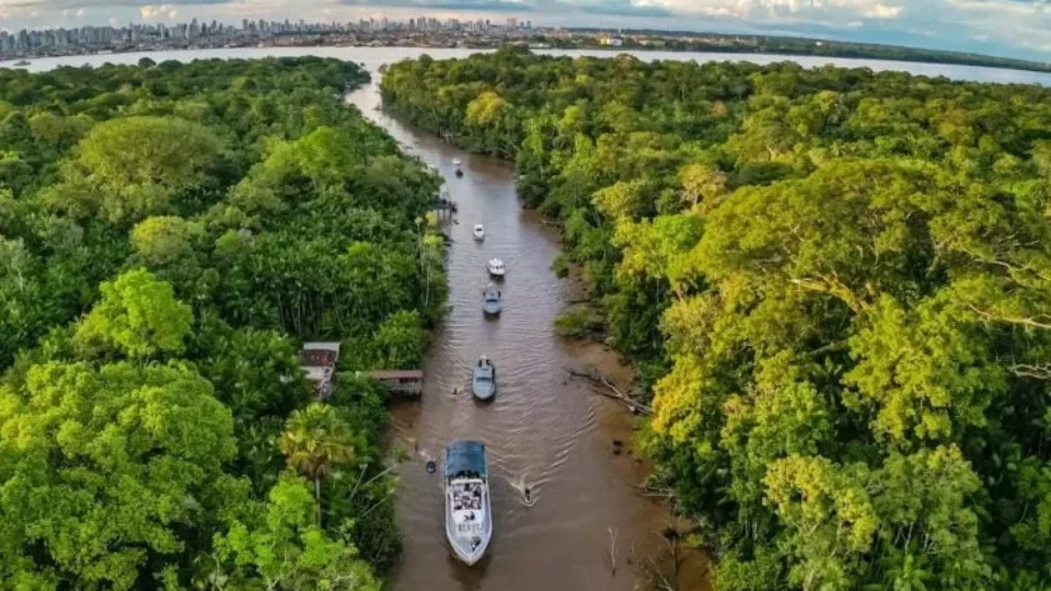 Floresta cai, temperatura sobe: desmatamento tropical causa 28 mil mortes anuais por calor