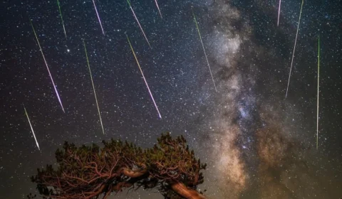 Chuva de meteoros Perseidas terá pico entre esta terça e quarta; veja como observar