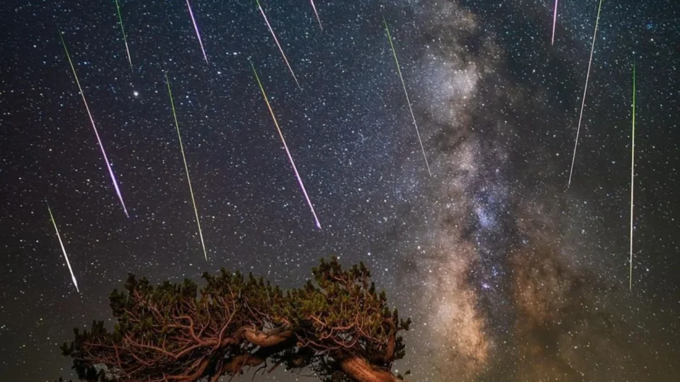 Chuva de meteoros Perseidas terá pico entre esta terça e quarta; veja como observar