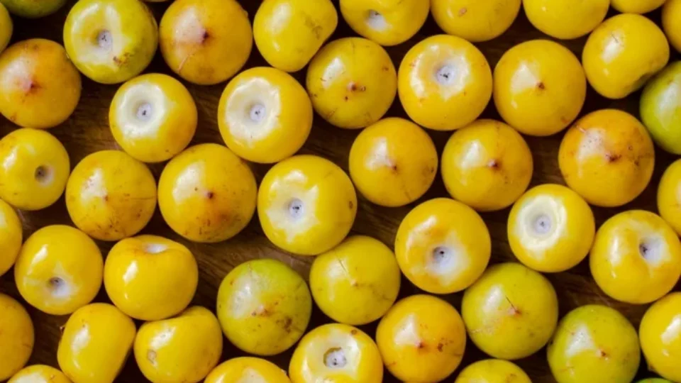 Murici: a fruta com mais proteína que a banana e mais vitamina C que a tangerina
