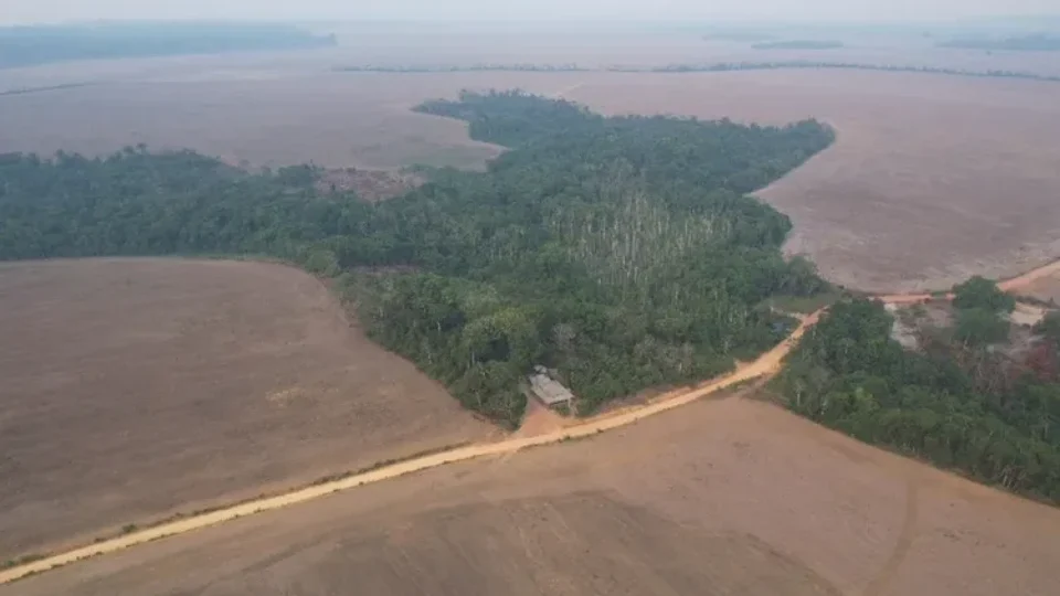 Com avanço do agro, Brasil perdeu área do tamanho da Bolívia de vegetação nativa