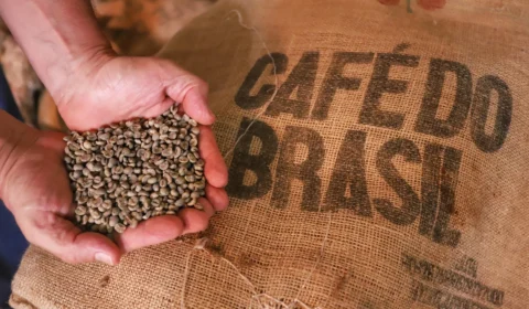 China autoriza 183 empresas brasileiras para exportar café após tarifaço dos EUA