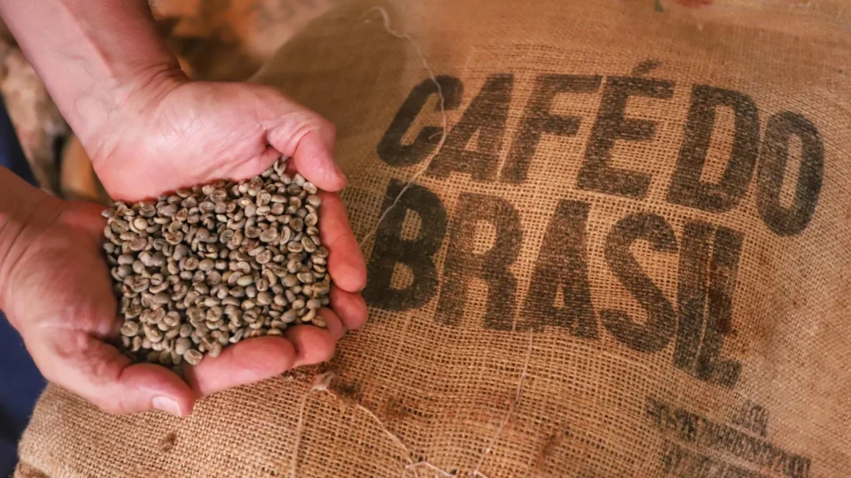 China autoriza 183 empresas brasileiras para exportar café após tarifaço dos EUA