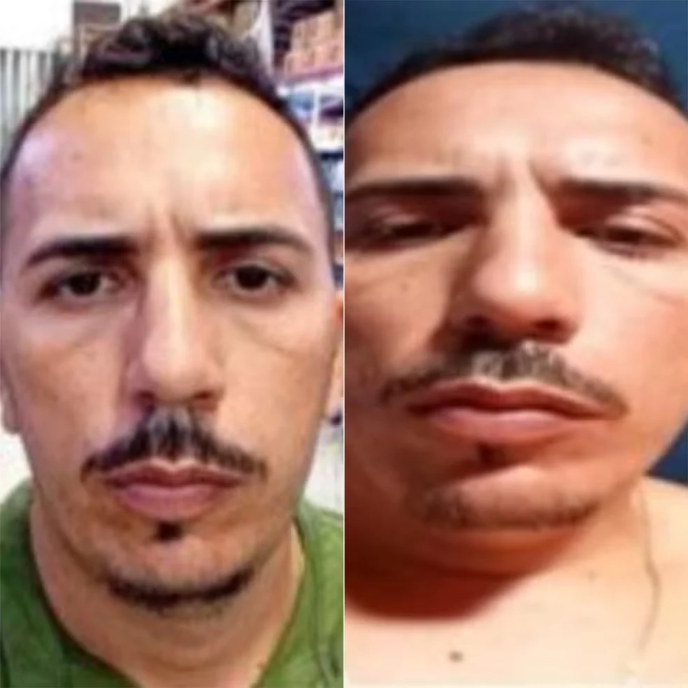 cerco