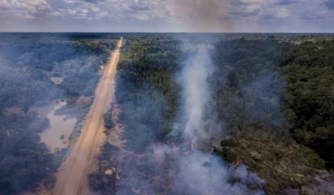 Amazônia: colapso está acontecendo agora, mas pode ser revertido, diz estudo