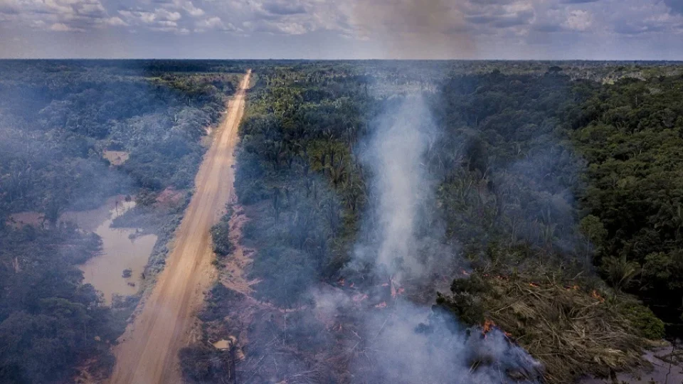 Amazônia: colapso está acontecendo agora, mas pode ser revertido, diz estudo