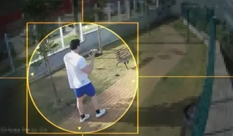 Imagens mostram empresário em academia e com cães após matar gari em BH
