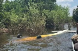 Piloto da FAB atira em avião clandestino, que faz pouso forçado na água no Amazonas