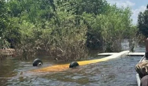 Piloto da FAB atira em avião clandestino, que faz pouso forçado na água no Amazonas