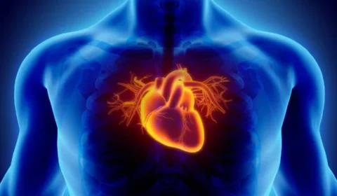 Nova diretriz brasileira para colesterol redefine metas, diagnósticos e tratamento para prevenir infartos e AVC