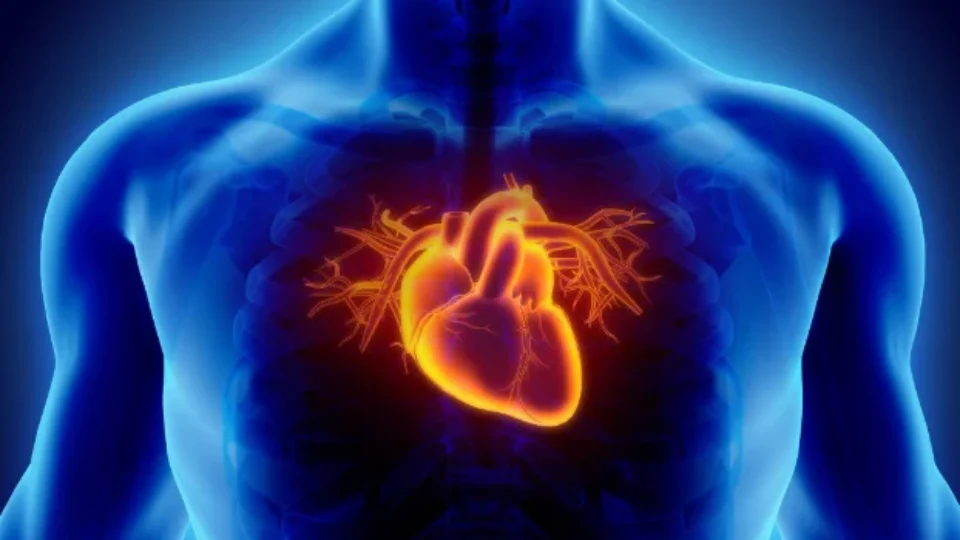 Nova diretriz brasileira para colesterol redefine metas, diagnósticos e tratamento para prevenir infartos e AVC