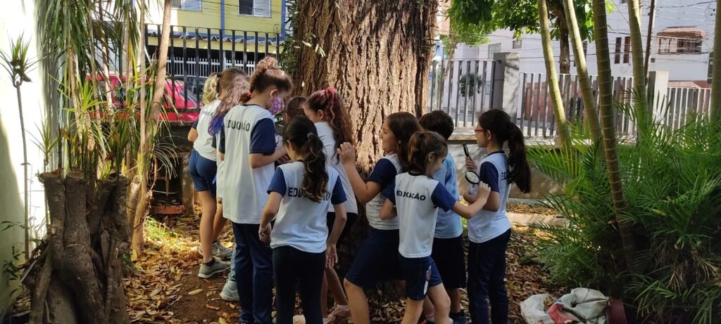 Instituições como o Instituto Nacional de Ciência Cidadã (INCC) promovem o desenvolvimento de práticas de ciência cidadã, incentivando, inclusive, a aplicação de projetos em escolas e outras unidades de ensino. Foto: reprodução / INCC
