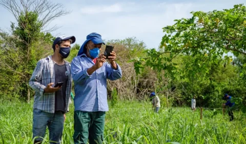 Ciência cidadã no Brasil: como colaborar com a produção de conhecimento científico?