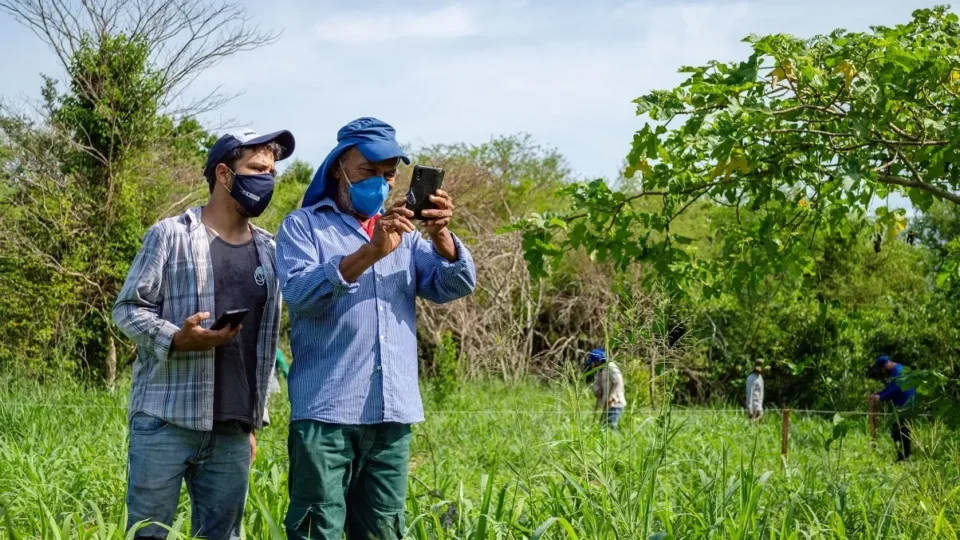 Ciência cidadã no Brasil: como colaborar com a produção de conhecimento científico?