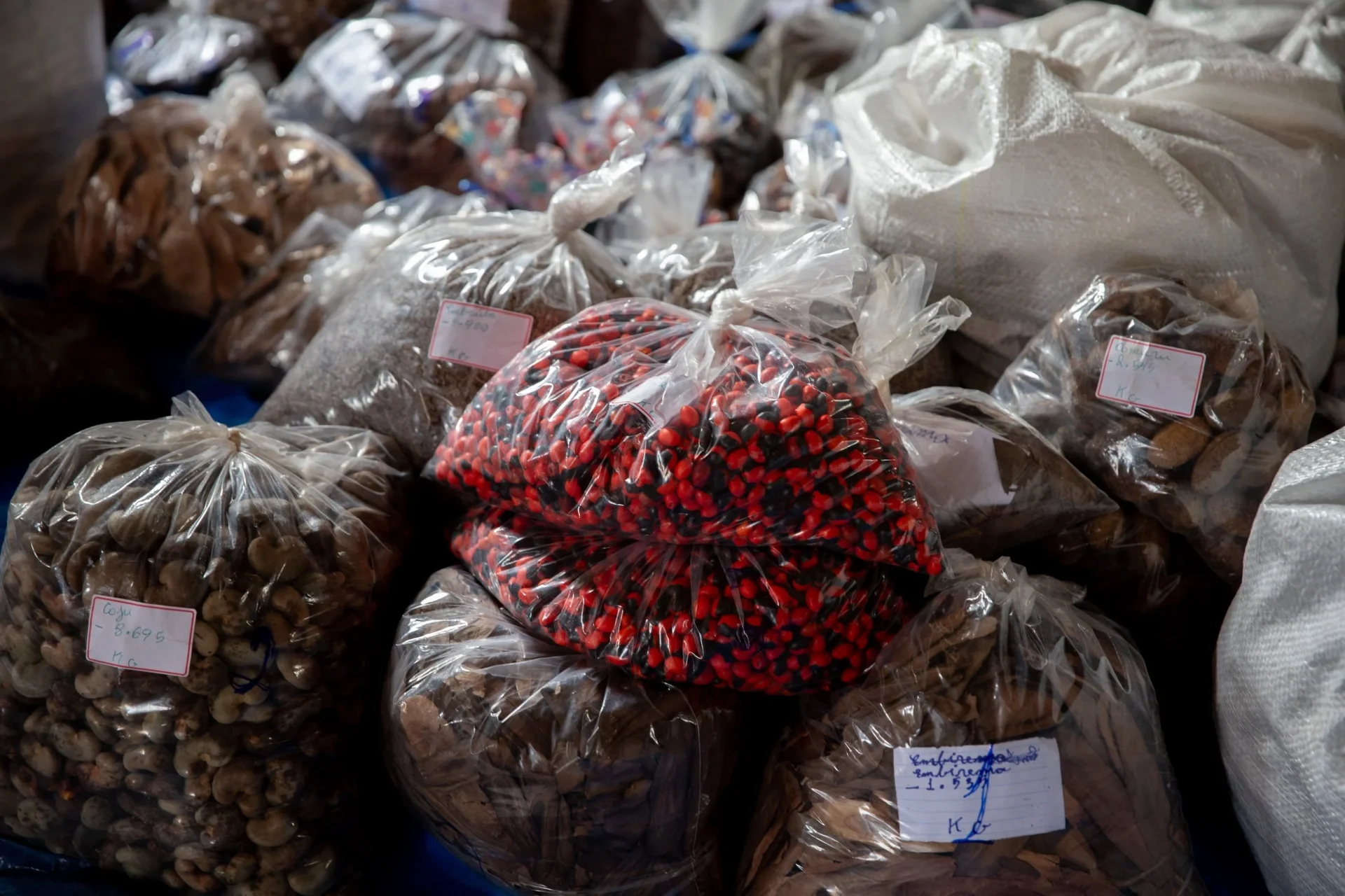 Sacos com sementes de caju, olho-de-cabra, cumaru e outras plantas encontradas na Amazônia. Coletores vendem sementes por meio de redes e geram renda para suas comunidades (Imagem: Jonathan Molino / Ecoporé)