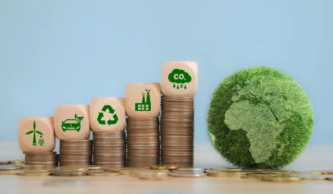 Serviços sustentáveis: como o Brasil pode liderar esse mercado e o de carbono