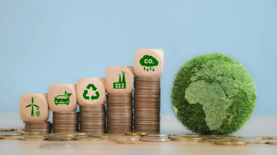 Serviços sustentáveis: como o Brasil pode liderar esse mercado e o de carbono