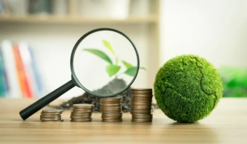 Sustentabilidade nos negócios: um conceito com muitas faces